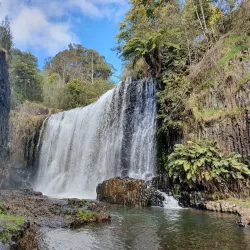 Guide Falls - Burnie