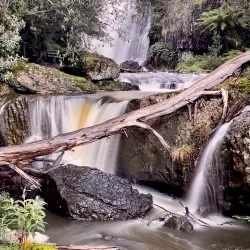 Guide Falls - Burnie