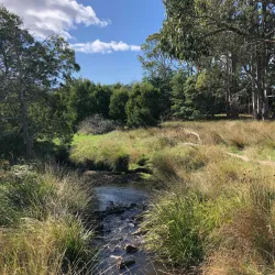 Tasmanian Arboretum - Burnie