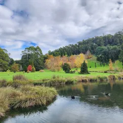 Tasmanian Arboretum - Burnie