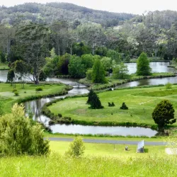 Tasmanian Arboretum - Burnie