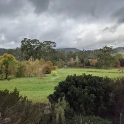 Tasmanian Arboretum - Burnie