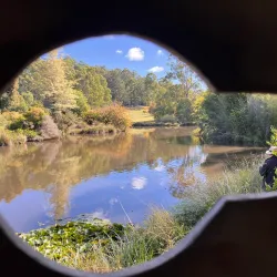 Tasmanian Arboretum - Burnie