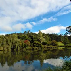 Tasmanian Arboretum - Burnie