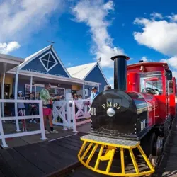 Busselton Jetty Swim - Busselton
