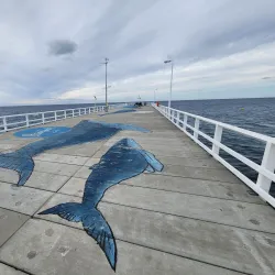 Busselton Jetty - Busselton