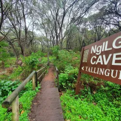 Ngilgi Cave - Busselton