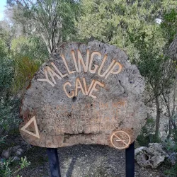 Ngilgi Cave - Busselton