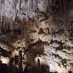 Ngilgi Cave - Busselton