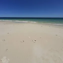 Tuart Forest National Park - Busselton