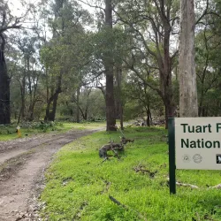 Tuart Forest National Park - Busselton