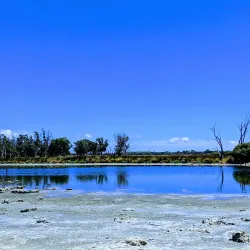 Tuart Forest National Park - Busselton