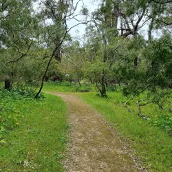 Tuart Forest National Park - Busselton