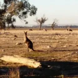 Tuart Forest National Park - Busselton