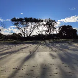 Arakwal National Park - Byron Bay