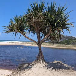 Arakwal National Park - Byron Bay