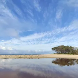 Arakwal National Park - Byron Bay