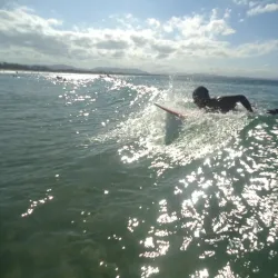 Byron Bay Hinterland - Byron Bay