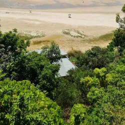 Byron Bay Hinterland - Byron Bay