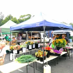 Byron Bay Markets - Byron Bay