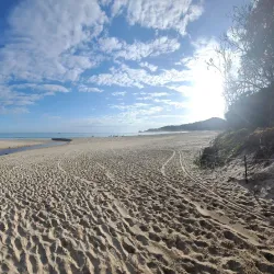 Byron Bay Markets - Byron Bay