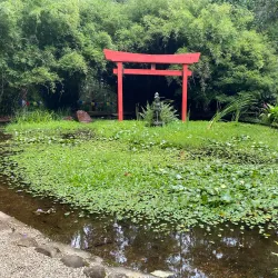 Crystal Castle & Shambhala Gardens - Byron Bay