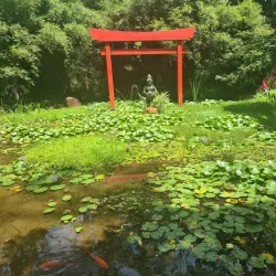 Crystal Castle & Shambhala Gardens - Byron Bay
