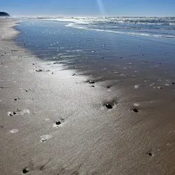 Tallow Beach - Byron Bay