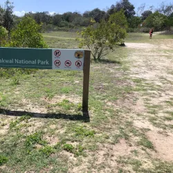 Tallow Beach - Byron Bay