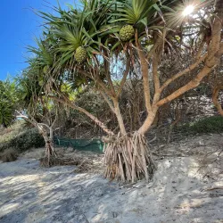 Tallow Beach - Byron Bay