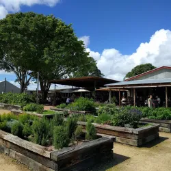 The Farm Byron Bay - Byron Bay