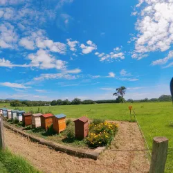 The Farm Byron Bay - Byron Bay