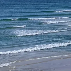 Wategos Beach - Byron Bay