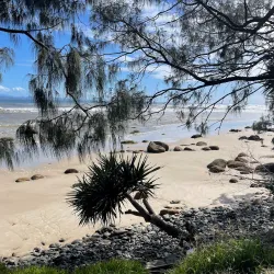 Wategos Beach - Byron Bay