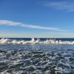 Wategos Beach - Byron Bay