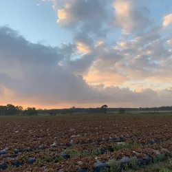 Bellmere Farm - Caboolture