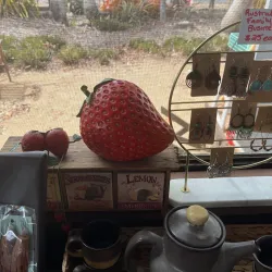 Bellmere Farm - Caboolture