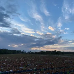 Bellmere Farm - Caboolture