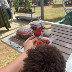 Bellmere Farm - Caboolture