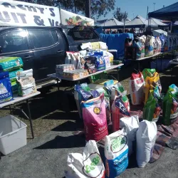 Caboolture Markets - Caboolture