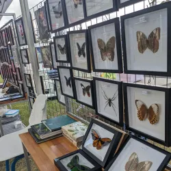 Caboolture Markets - Caboolture