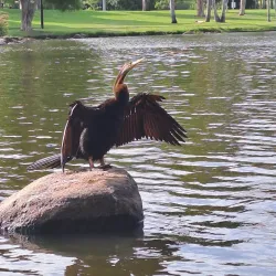 Centenary Lakes Park - Caboolture