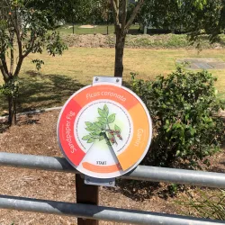 Moreton Bay Environmental Education Centre - Caboolture