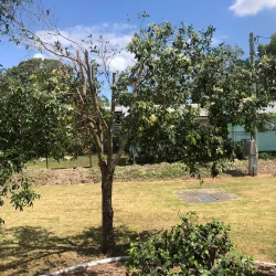 Moreton Bay Environmental Education Centre - Caboolture