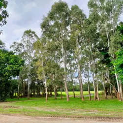 Pine Rivers Park - Caboolture