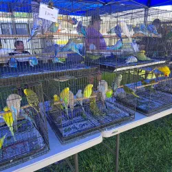 Wamuran Farmers Market - Caboolture