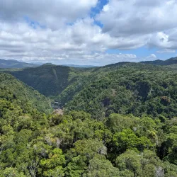 Barron Gorge National Park - Cairns