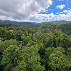 Barron Gorge National Park - Cairns