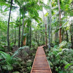 Cairns Botanic Gardens - Cairns
