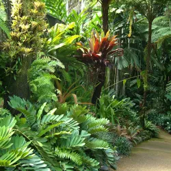 Cairns Botanic Gardens - Cairns